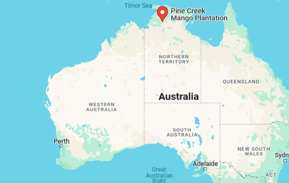 Αυστραλία: 12χρονη κατασπαράχθηκε από κροκόδειλο ενώ κολυμπούσε σε λίμνη