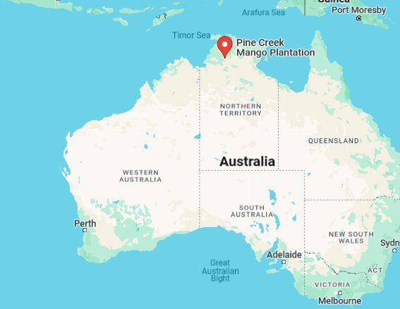 Αυστραλία: 12χρονη κατασπαράχθηκε από κροκόδειλο ενώ κολυμπούσε σε λίμνη