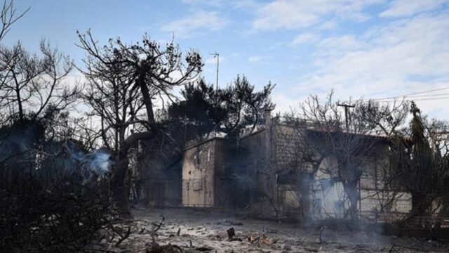 Καθηγητής του ΕΚΠΑ εξηγεί τους λόγους επέκτασης της φωτιάς – Σοκ από το μέγεθος της καταστροφής