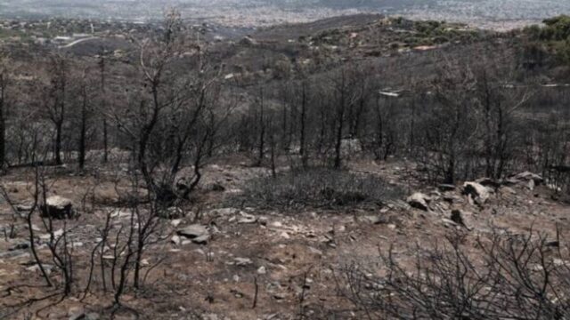 Φωτιά στην Αττική: Πλιάτσικο στα καμμένα - Δέκα προσαγωγές, μία σύλληψη