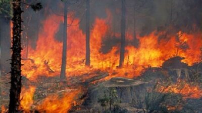 Πολύ υψηλός ο κίνδυνος πυρκαγιάς σήμερα - Σε επιφυλακή Πυροσβεστική και Πολιτική Προστασία