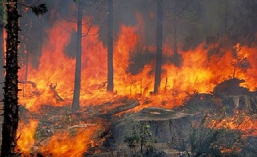 Κικίλιας: Χωρίς ενεργό μέτωπο η φωτιά στην Αττική - Διασώθηκαν 48 περιοχές