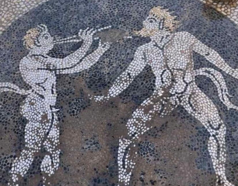 Ψηφιδωτό του 4ου π.Χ. αιώνα βρέθηκε στην Ερέτρια σκάβοντας για αγωγό ύδρευσης