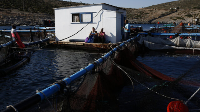 Σε ραγδαία ανάπτυξη η Ελληνική ιχθυοκαλλιέργεια