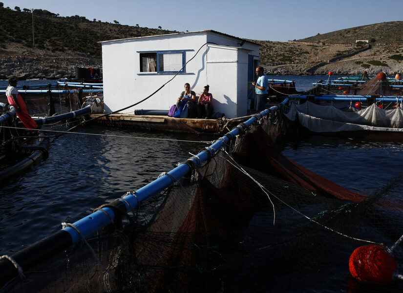 Σε ραγδαία ανάπτυξη η Ελληνική ιχθυοκαλλιέργεια