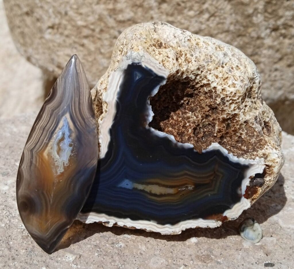 Σταμάτης Παλάζης. Μελαχροινή ΜΑρτίδου