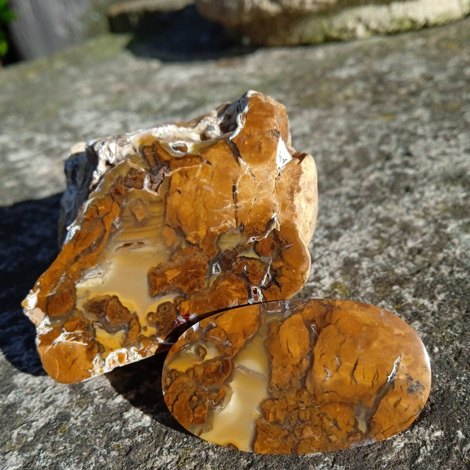 Σταμάτης Παλάζης.Μελαχροινή ΜΑρτίδου