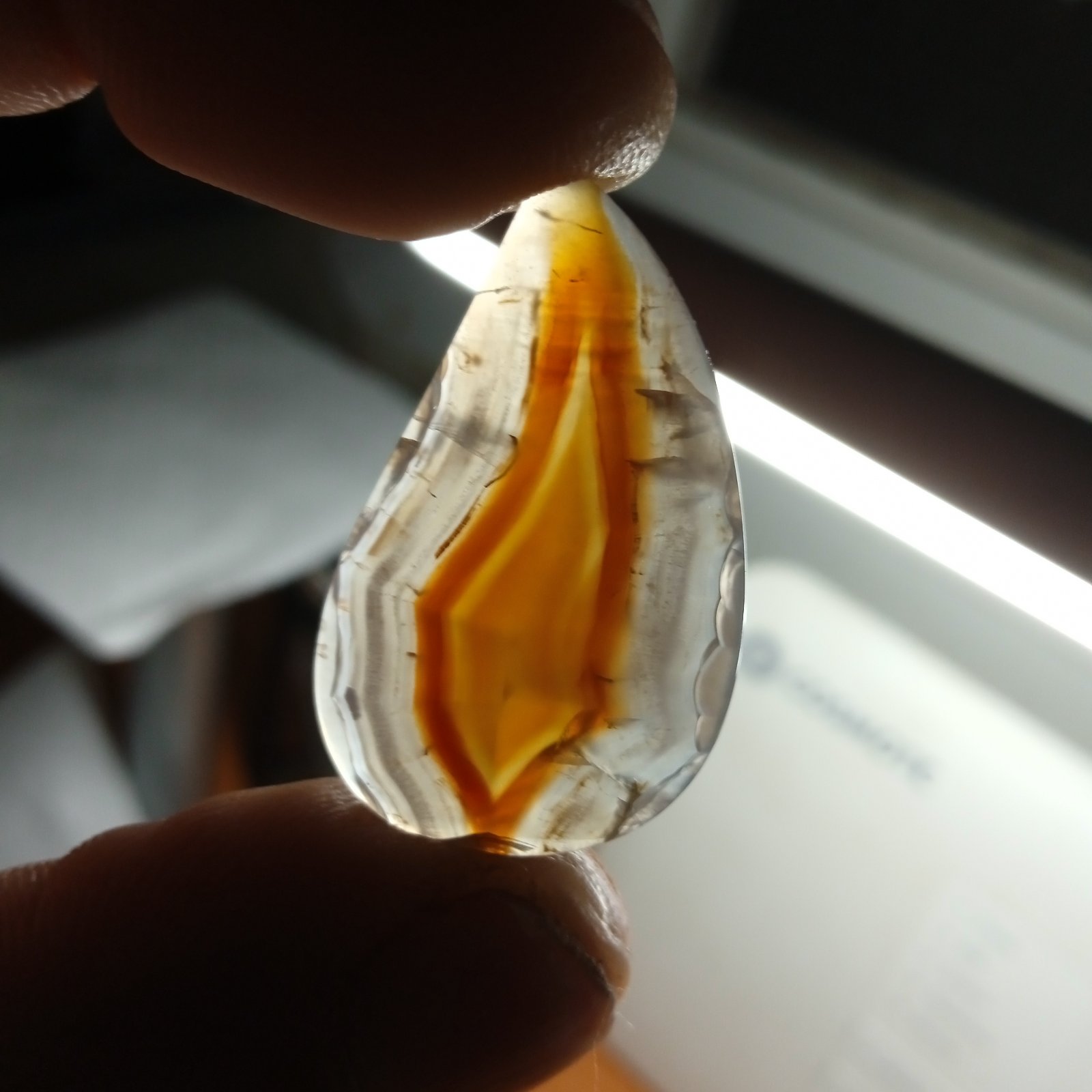 Σταμάτης Παλάζης. Μελαχροινή ΜΑρτίδου