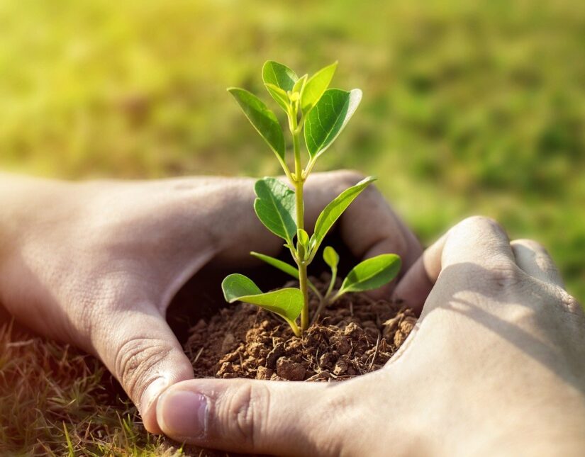 ΚΕΠΑ – 4η Διεθνής Συνάντηση “International Tree Planting Initiative”