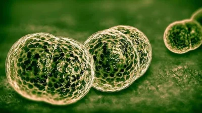 Βρετανία: Δύο θάνατοι και 27 κρούσματα μηνιγγίτιδας