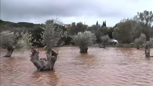 Σφοδρή κακοκαιρία στην Κεφαλονιά: Με ταχύπλοο η αποστολή βοήθειας στους πληγέντες