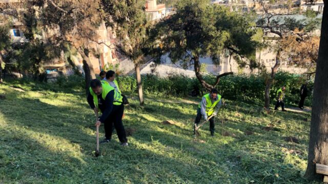 250 νέα δέντρα στο λόφο Στρέφη