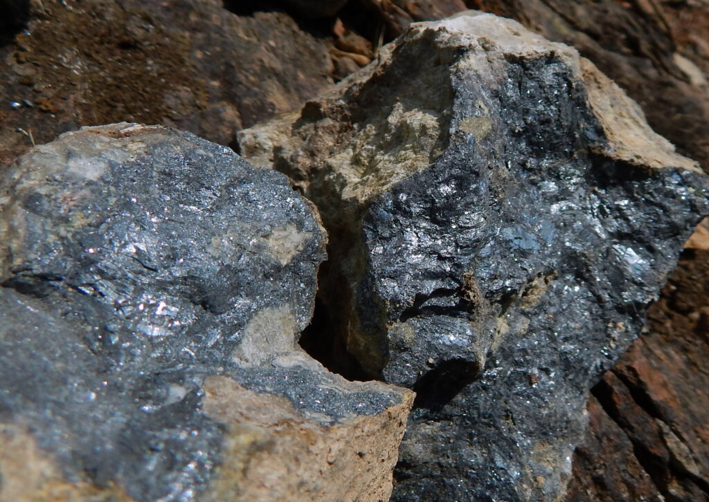 Πέτρος Τζεφέρης. Μέλφος