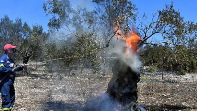 H ΕΑΕΕ εξηγεί τι πρέπει να γνωρίζουν οι ιδιοκτήτες οχημάτων για την υποχρεωτική ασφάλιση έναντι φυσικών καταστροφών που ισχύει από 1.6.2025