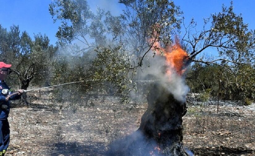 H ΕΑΕΕ εξηγεί τι πρέπει να γνωρίζουν οι ιδιοκτήτες οχημάτων για την υποχρεωτική ασφάλιση έναντι φυσικών καταστροφών που ισχύει από 1.6.2025