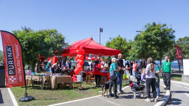 Εκατοντάδες επισκέπτες στην Ημέρα Υιοθεσίας και Φιλοξενίας που διοργάνωσε η Purina για τα αδέσποτα ζώα της Θεσσαλονίκης