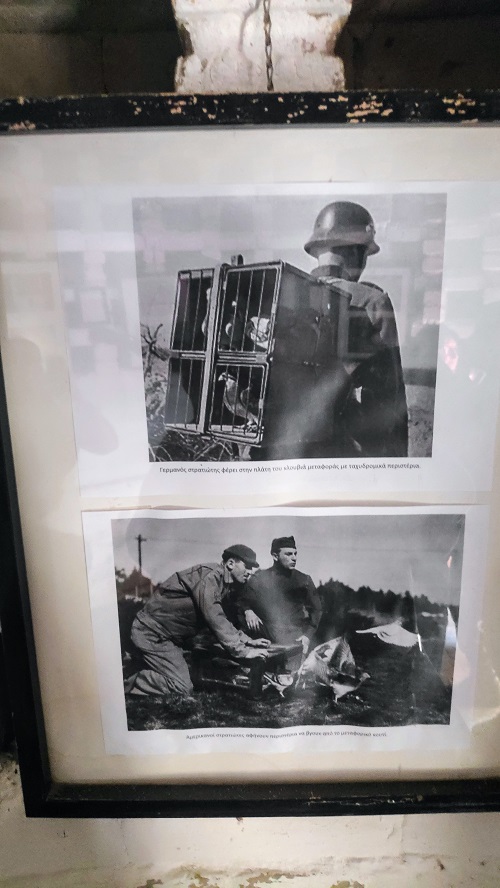 Μουσείο Μαρτίδου