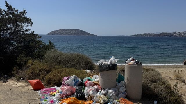 Η "μαφία της ξαπλώστρας" και οι παραλίες-σκουπιδότοποι, Ευγενία Σαρηγιαννίδη