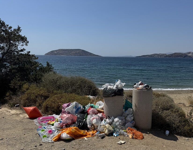 Η "μαφία της ξαπλώστρας" και οι παραλίες-σκουπιδότοποι, Ευγενία Σαρηγιαννίδη