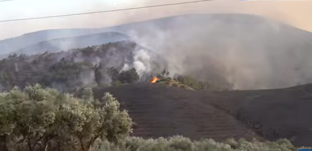 Ενισχύσεις στέλλονται για τις φωτιές στη Χίο – Τρεις εστίες μέσα σε μία ώρα!