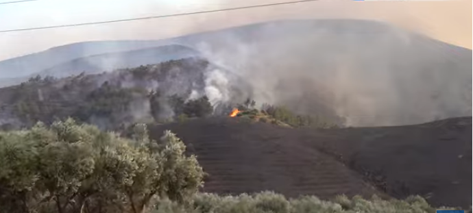 Ενισχύσεις στέλλονται για τις φωτιές στη Χίο – Τρεις εστίες μέσα σε μία ώρα!