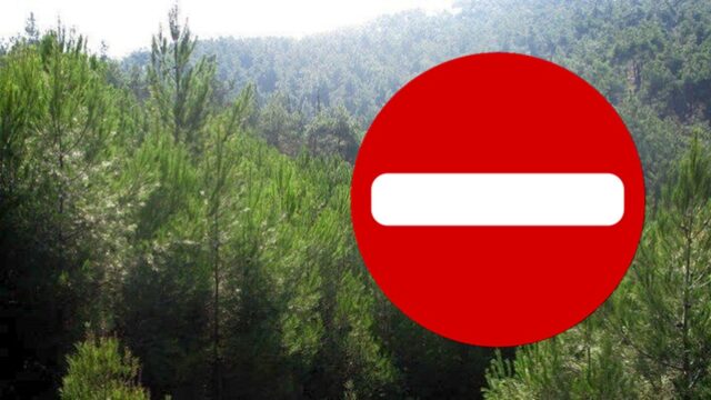 Χαλκιδική: Απαγόρευση κυκλοφορίας λόγω του κινδύνου πυρκαγιάς