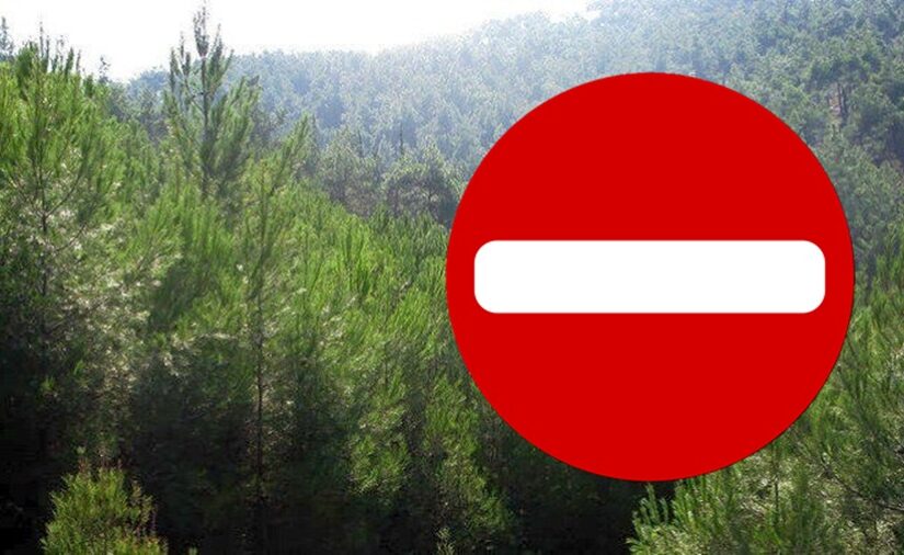 Χαλκιδική: Απαγόρευση κυκλοφορίας λόγω του κινδύνου πυρκαγιάς
