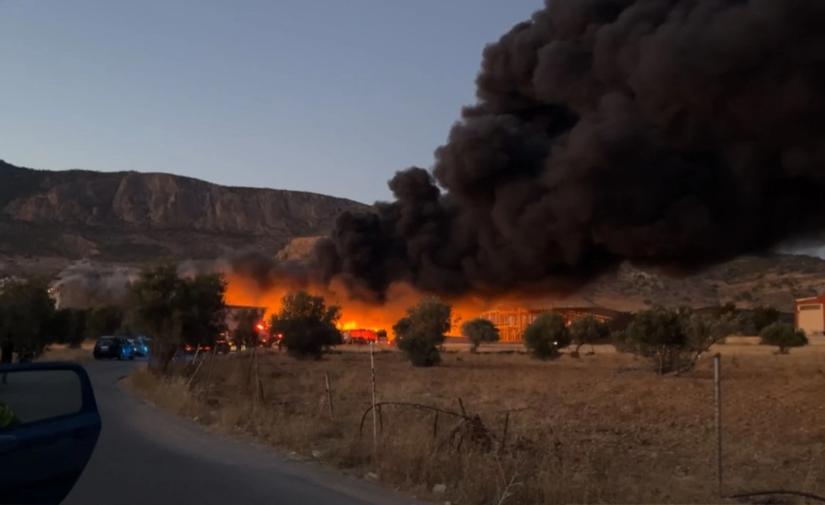 Φωτιά σε εργοστάσιο στα Μέγαρα: Αποπνικτική η ατμόσφαιρα από τους καπνούς