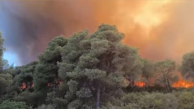Μαίνονται οι πυρκαγιές σε Ιεράπετρα, Χαλκιδική και Κύθηρα