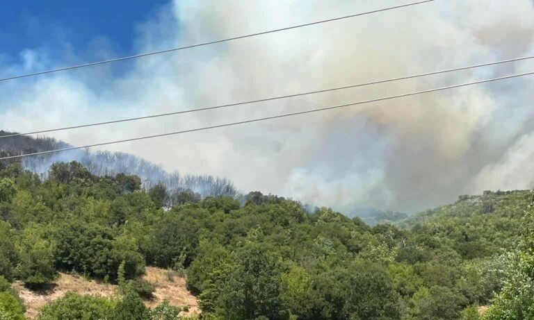 Φωτιά στα Γρεβενά: Εκκενώθηκε καταφύγιο όπου βρίσκονταν 55 παιδιά