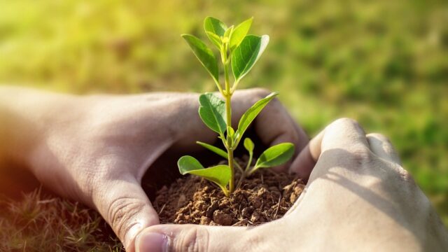 Πρωτοβουλία «75UN – 75 Trees UNAI SDG7» 6η Τηλε-διάσκεψη