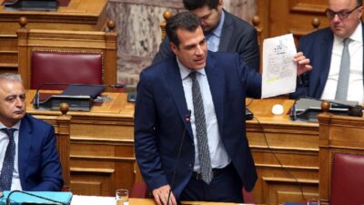 Και ο Πλεύρης υπέρ της οπλοκατοχής