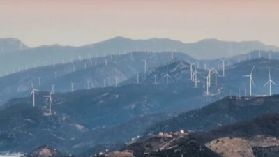 Τα δάση καίγονται οι ανεμογεννήτριες έρχονται, Δημήτρης Χρηστου