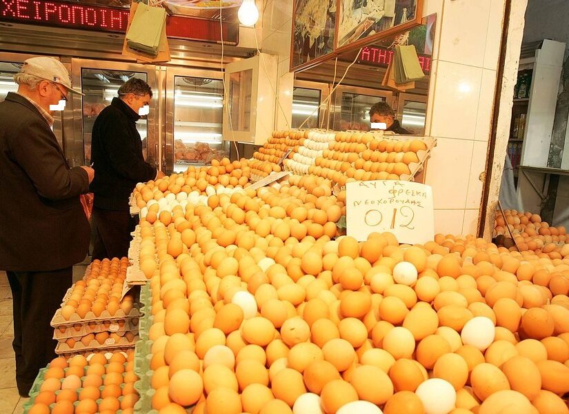 Με δείγμα από μόλις 17 μονάδες έβγαλαν συμπέρασμα για τα ελληνικά αυγά
