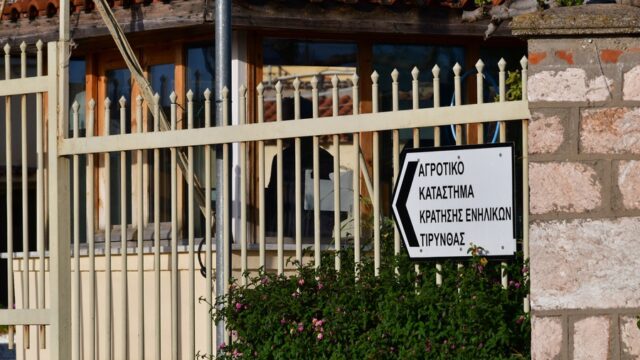 Στο πολιτικό ρινγκ ο νόμος Παρασκευόπουλου για την αποφυλάκιση, Εύα Γιαλίδη