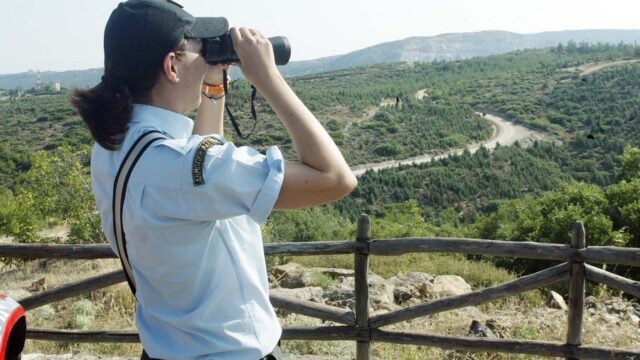 Δασικές γαίες κι εθνικό φυσικό κεφάλαιο