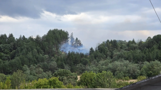 Φωτιά σε δασική έκταση στα Γρεβενά