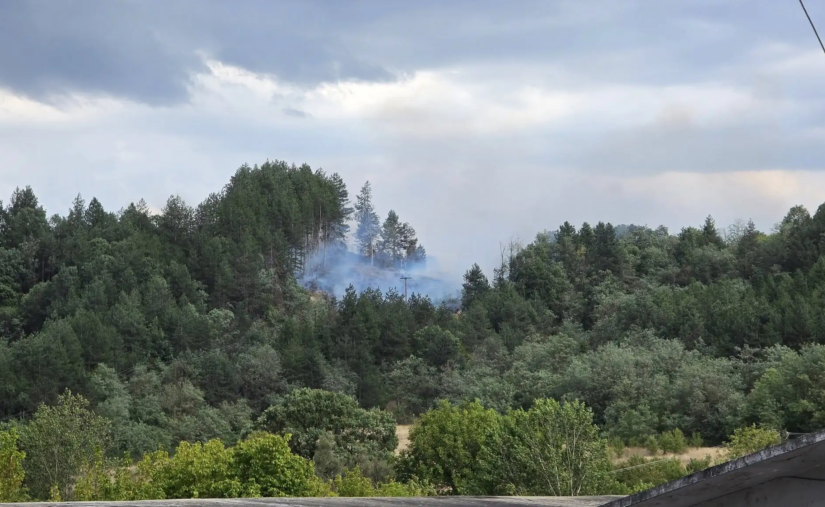Φωτιά σε δασική έκταση στα Γρεβενά