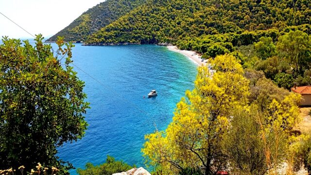 Ζήτω που καήκαμε! - Τι κάνουν οι συντοπίτες μου