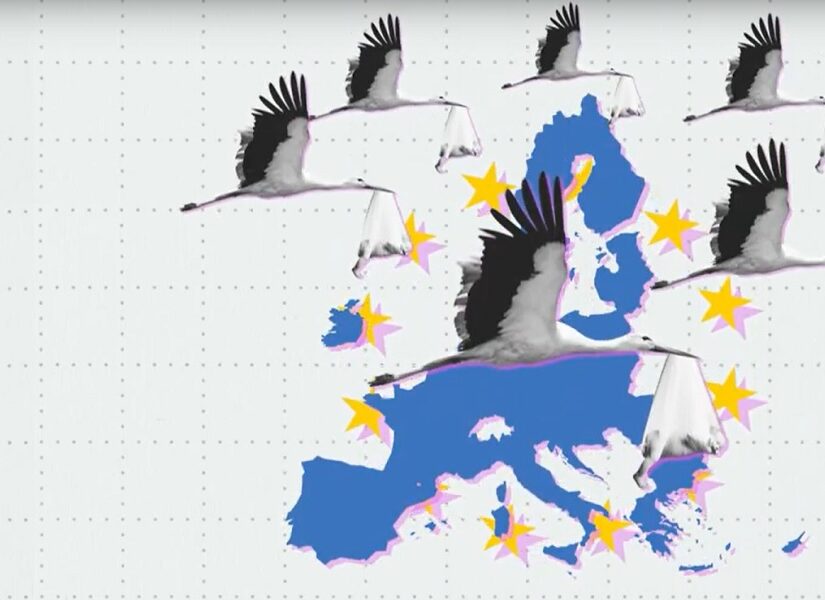 Υπό ποιους όρους η νόμιμη μετανάστευση μπορεί να αμβλύνει το δημογραφικό πρόβλημα, Μάκης Γιομπαζολιάς