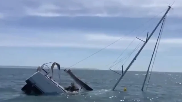 Κοπάδι από όρκες βούλιαξαν τουριστικό σκάφος στην Πορτογαλία