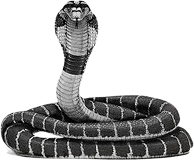kompra