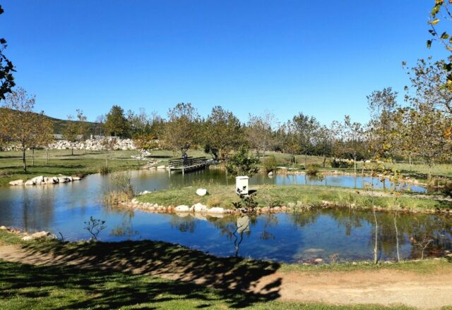 Η πανέμορφη Λίμνη Μουσών – Μια απόδραση στη φύση