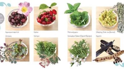 Χαρούπι για αδυνάτισμα, κράταιγος για πίεση