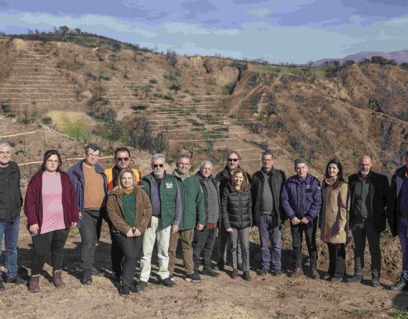 Coca-Cola Τρία Έψιλον: Σε εξέλιξη με ταχείς ρυθμούς η αποκατάσταση των πυρόπληκτων περιοχών της Πάτρας-Αχαΐας