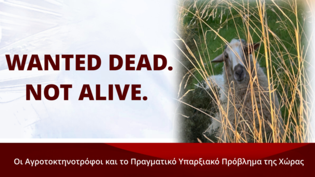 Σφαγή των αμνών: Ξεριζώνοντας την Ελλάδα, Ευγενία Σαρηγιαννίδη