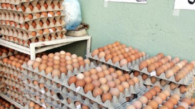 Αυγά: Πόσο καλό κάνει στην καρδιά – Οφέλη και περιορισμοί για τους καρδιοπαθείς