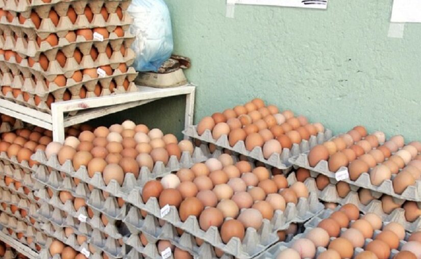 Αυγά: Πόσο καλό κάνει στην καρδιά – Οφέλη και περιορισμοί για τους καρδιοπαθείς