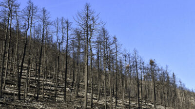 Η Κλιματική Αλλαγή είναι εδώ! – Μέτρα προσαρμογής, Δημήτρης Μαυράκης