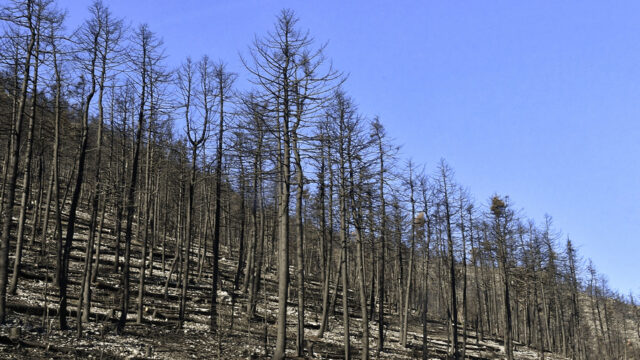 Η Κλιματική Αλλαγή είναι εδώ! – Μέτρα προσαρμογής, Δημήτρης Μαυράκης